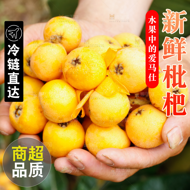 手里捧着枇杷