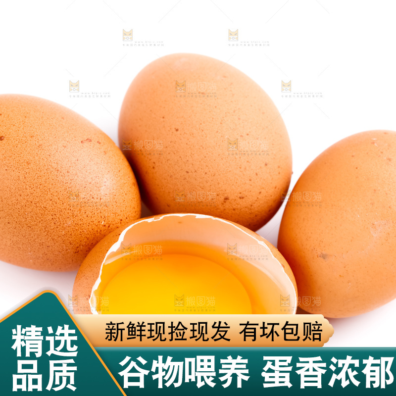 白底上的柴鸡蛋