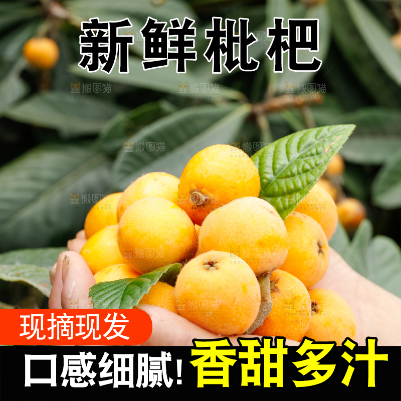 手里捧着新鲜枇杷