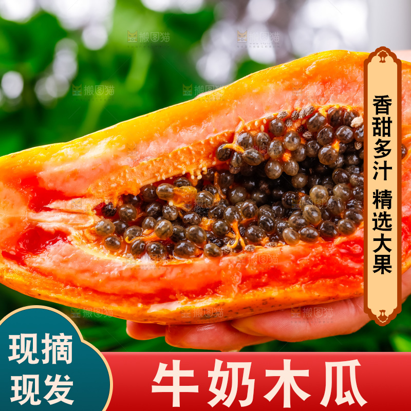 手里拿着牛奶木瓜