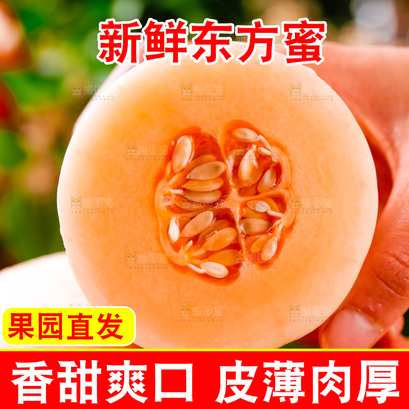 手拿东方蜜瓜切块