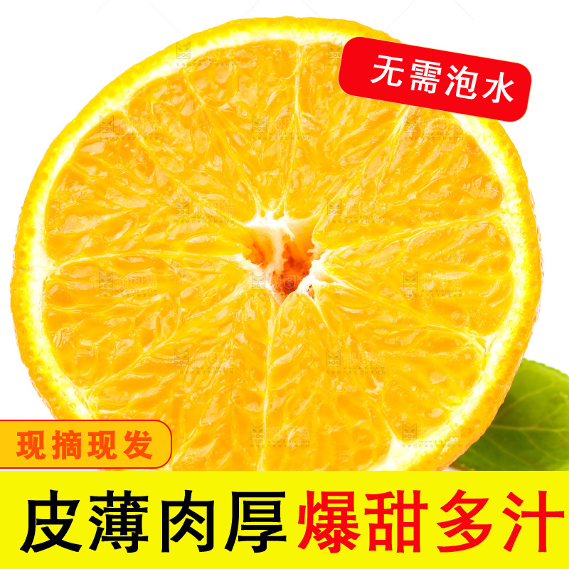 白底上的丑柑