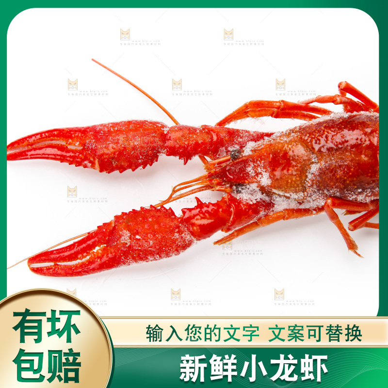 白底上的小龙虾