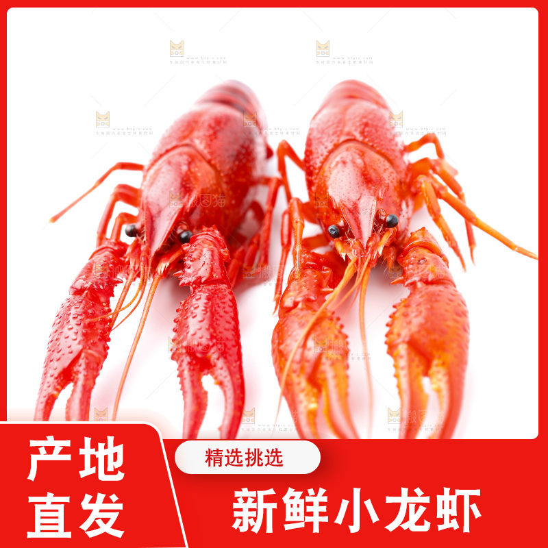 白底上放着秘制小龙虾