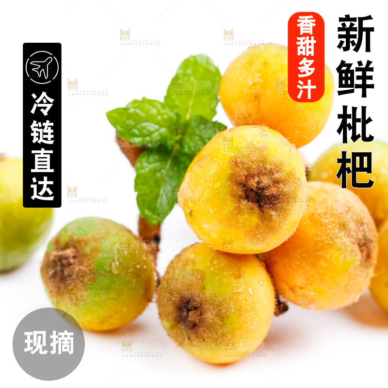 白底上放着枇杷果