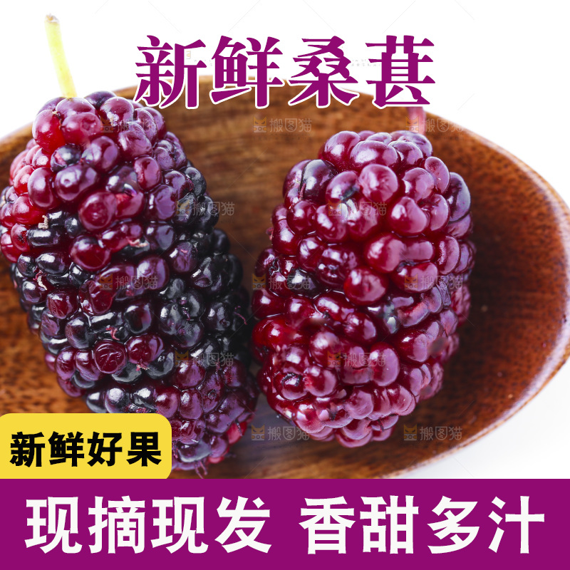 勺子上的桑枣