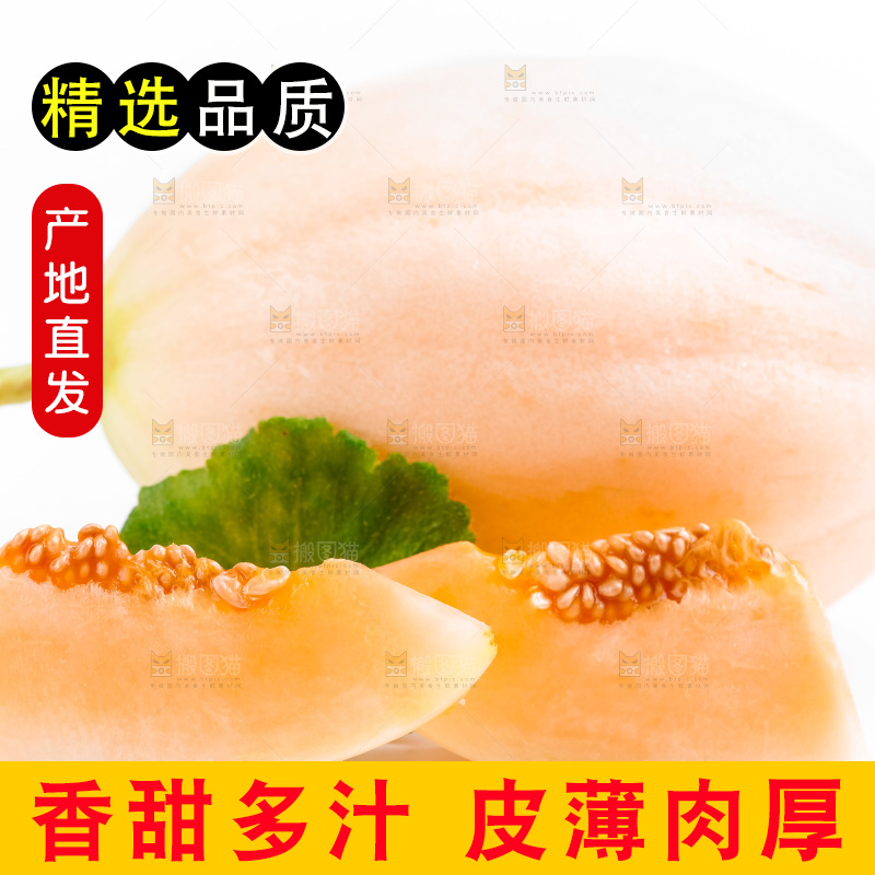 山东东方蜜瓜放在白底上
