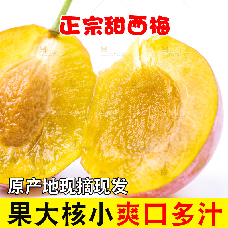 白底上的西梅