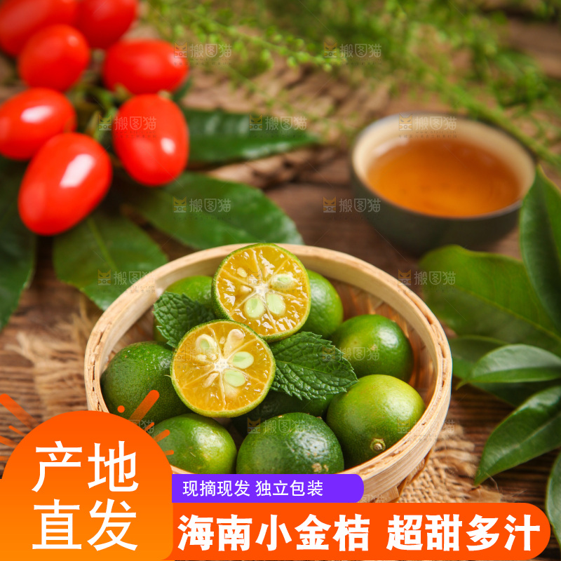篮子里装着小金桔