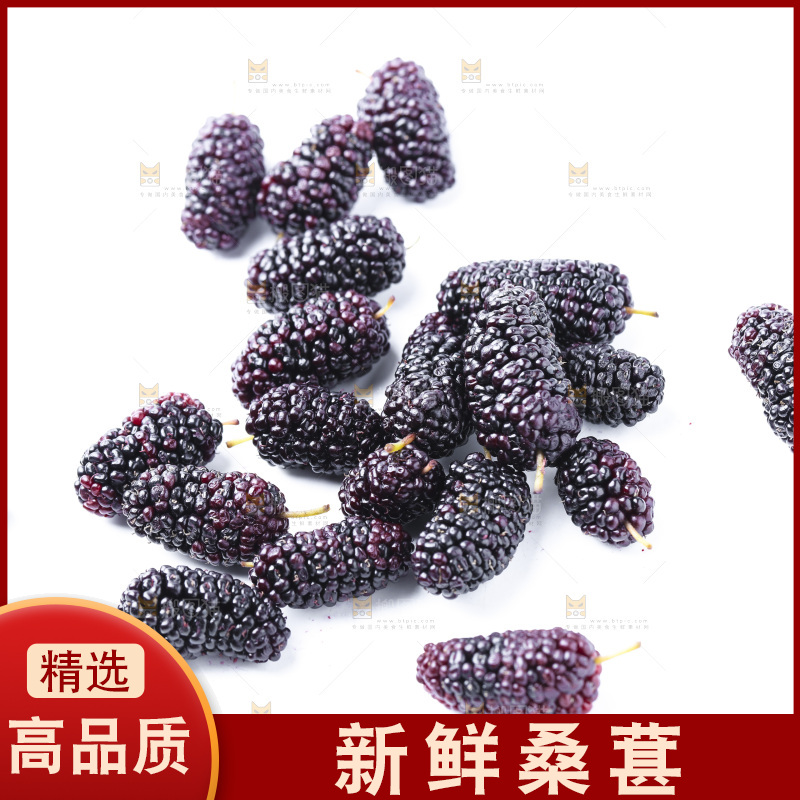 白底上放着新鲜桑葚