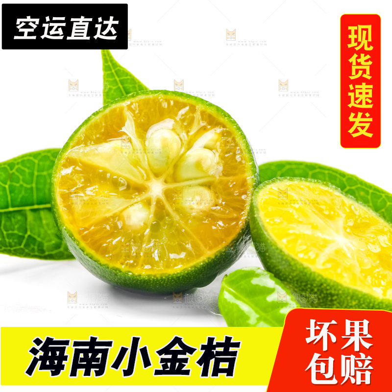 白底上放着小金桔