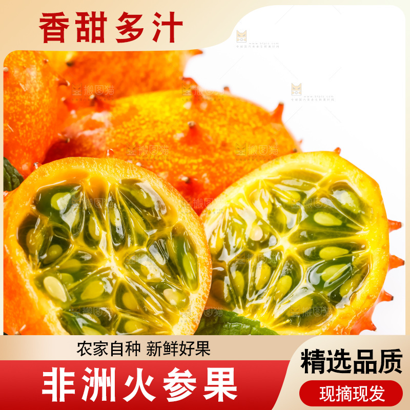 浅底上摆放着刺角瓜