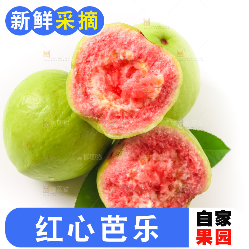 白底上摆放着红心番石榴