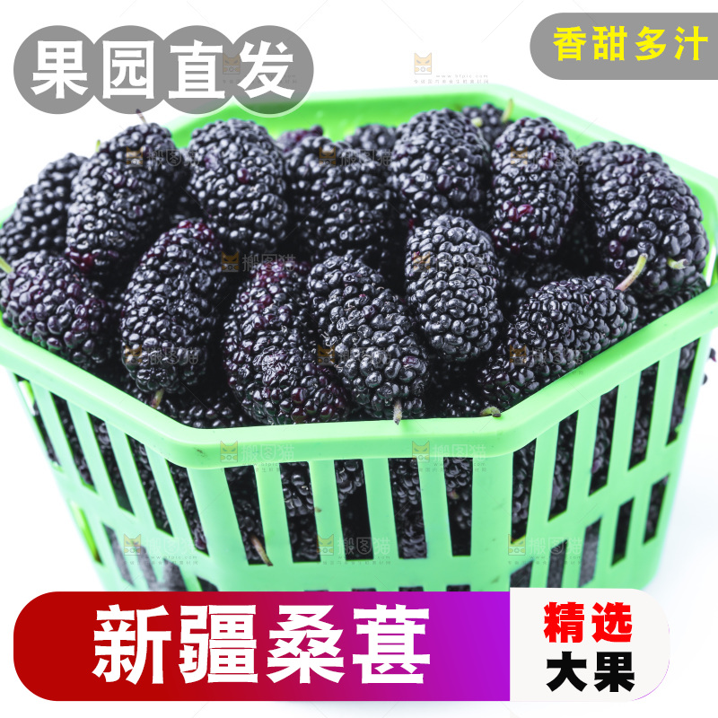 框子里装着新鲜桑葚