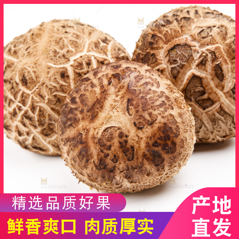 白底上放着花菇
