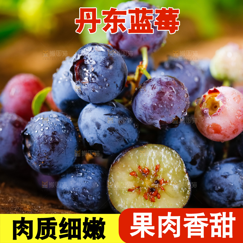 木底上放着山东蓝莓鲜果