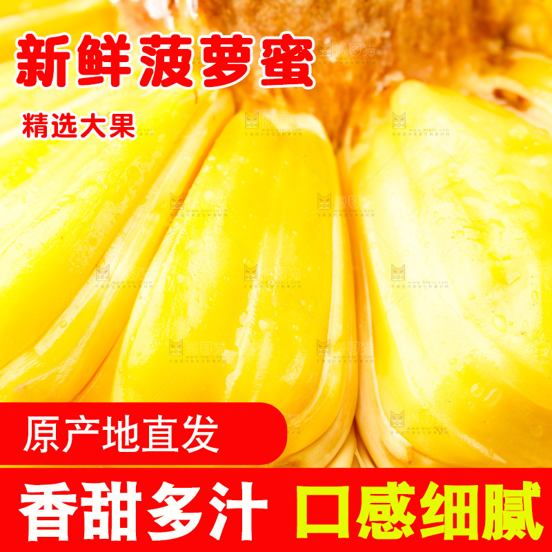 白底上的海南菠萝蜜