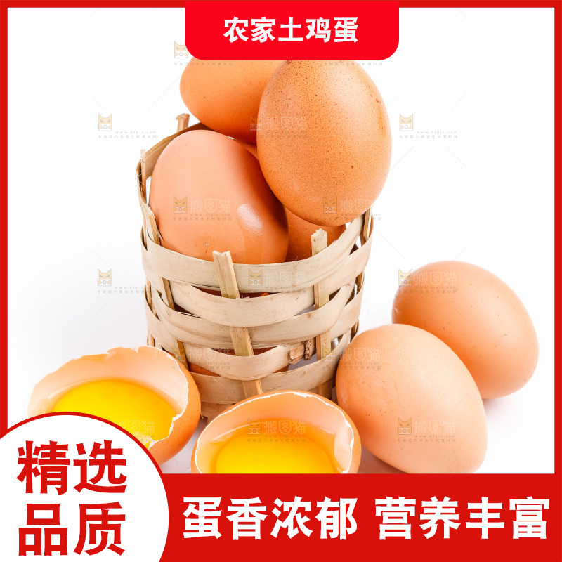 白底上放着散养鸡蛋
