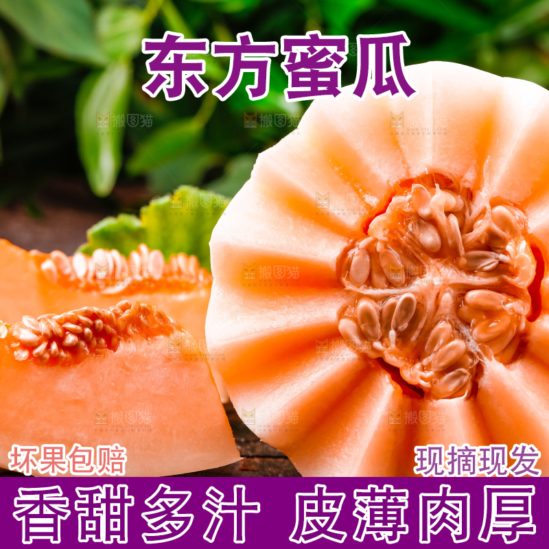 山东东方蜜瓜放在木底上