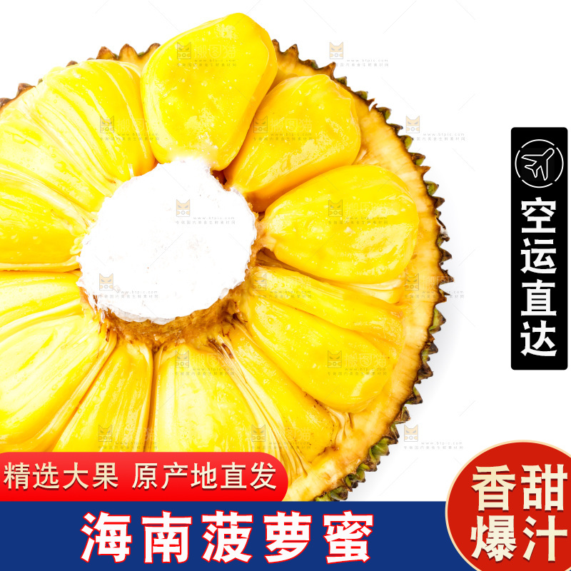 白底上的海南菠萝蜜