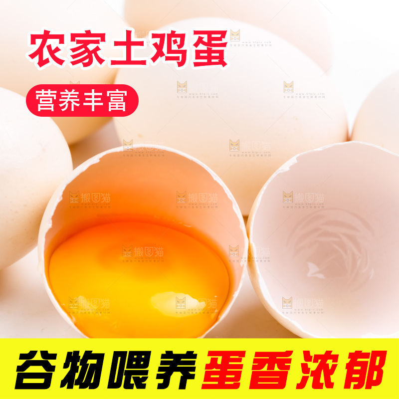 白底上的柴鸡蛋