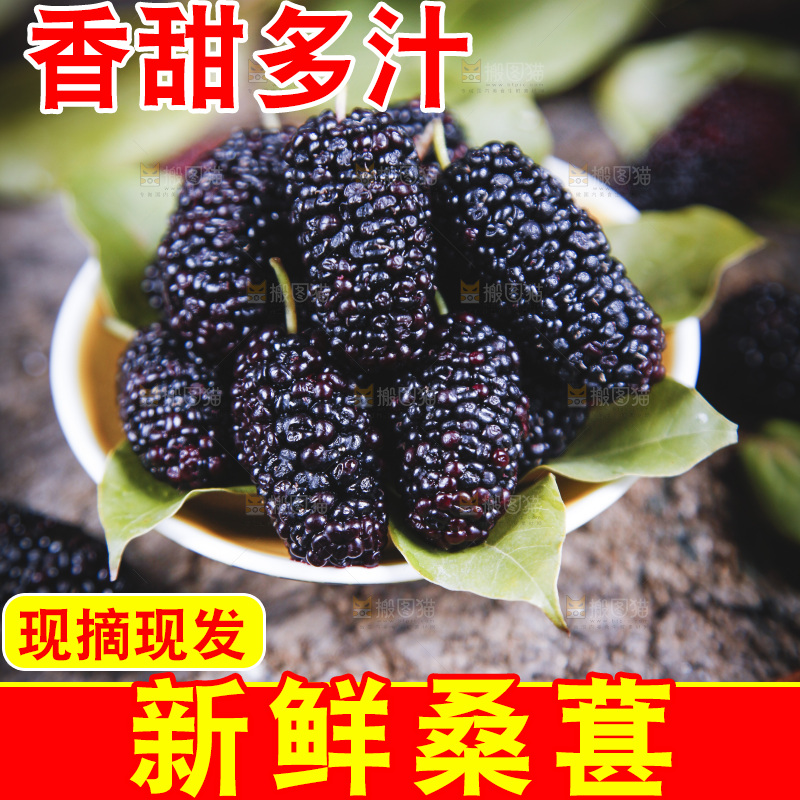 碟子里装着桑枣