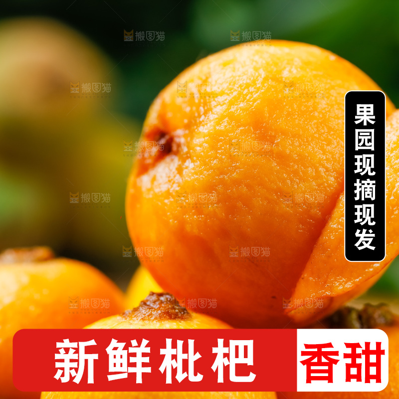 黑石板上放着四川米易枇杷