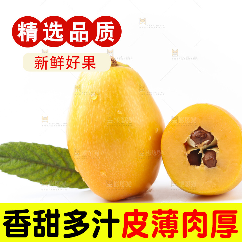 白底上的枇杷