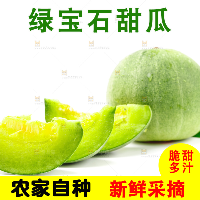 浅底上的山东绿宝石甜瓜