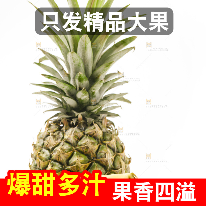 白底上摆放着海南凤梨