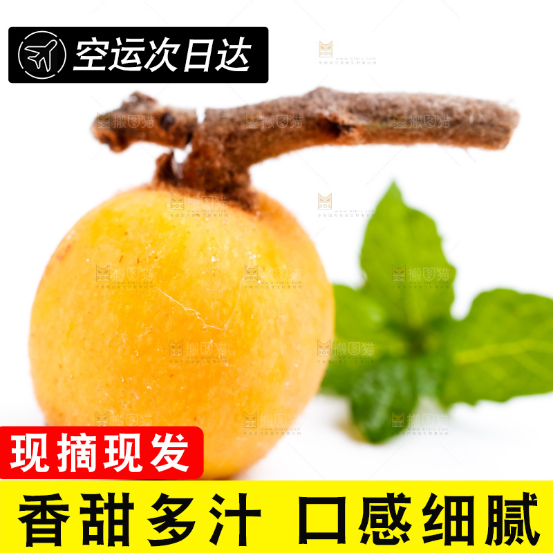 白底上放着枇杷果