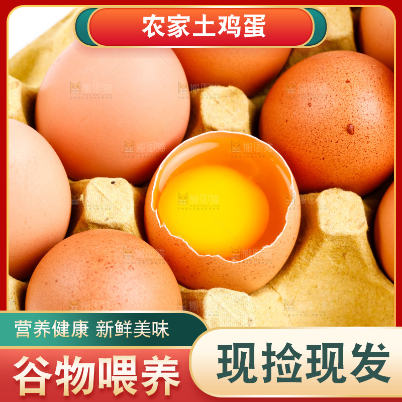白底上的新鲜鸡蛋