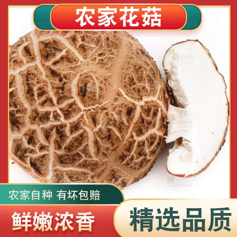 白底上放着花菇