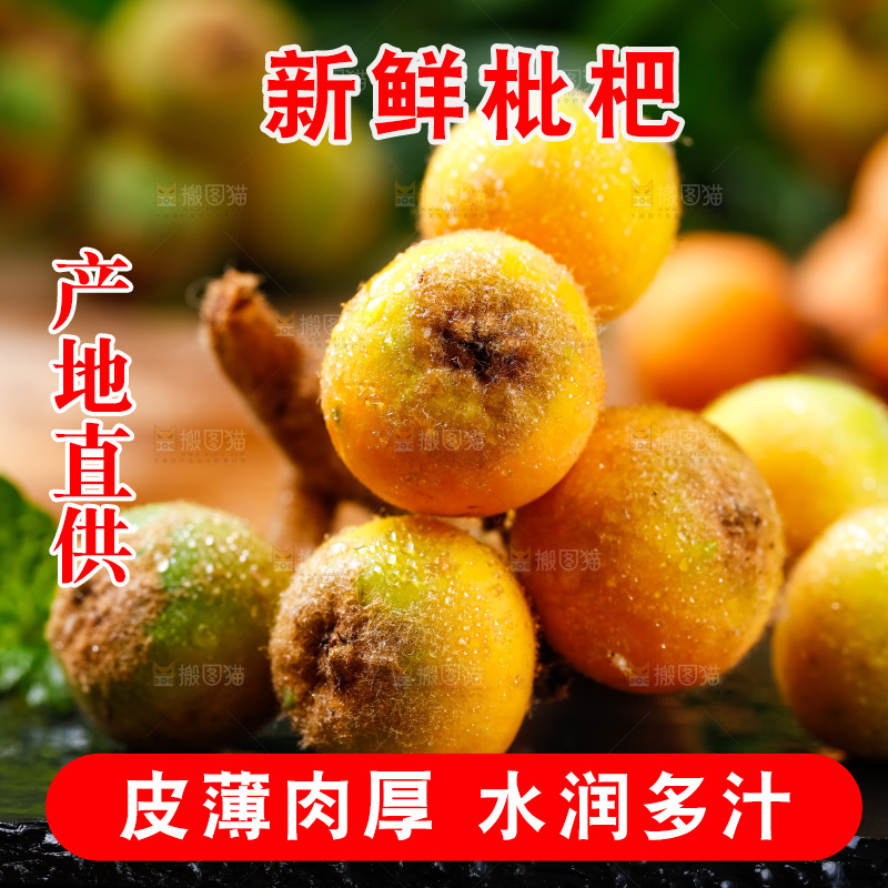 黑石板上放着四川米易枇杷