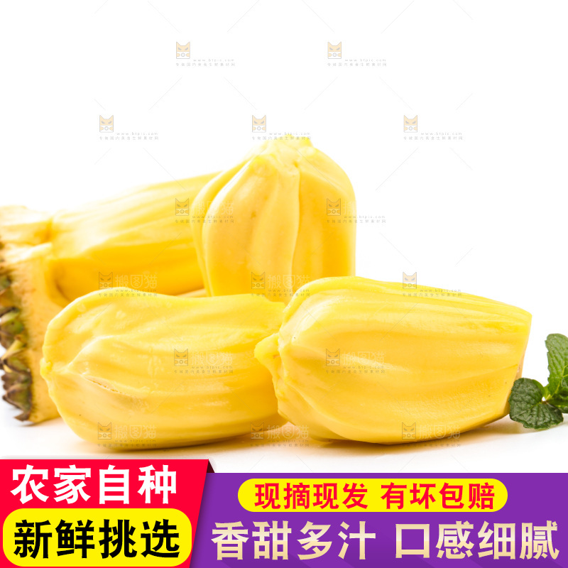 白底上的黄肉菠萝蜜