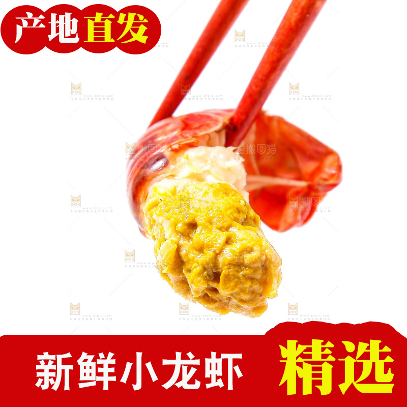 白底上的龙虾尾