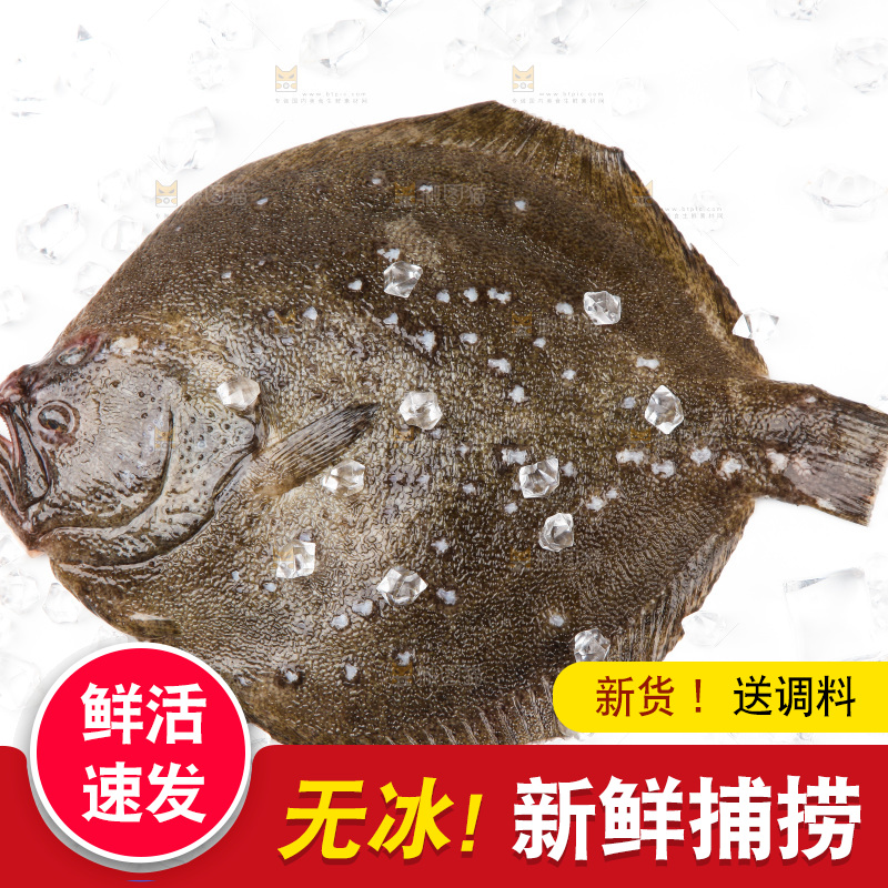 盘子里装着多宝鱼