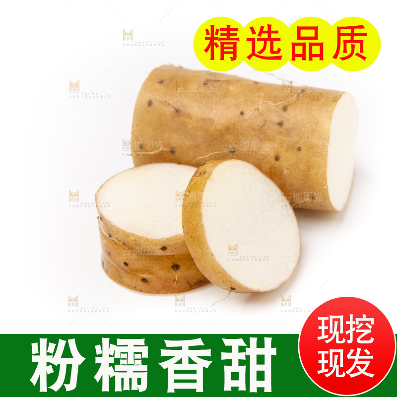 浅底上的新鲜山药