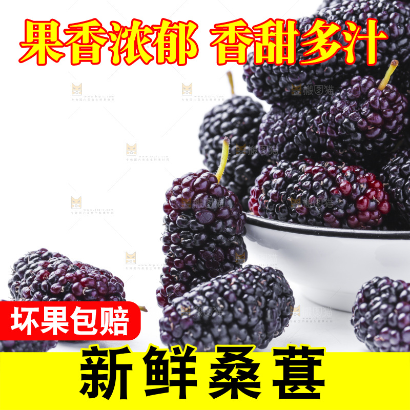 白底上放着新鲜桑葚
