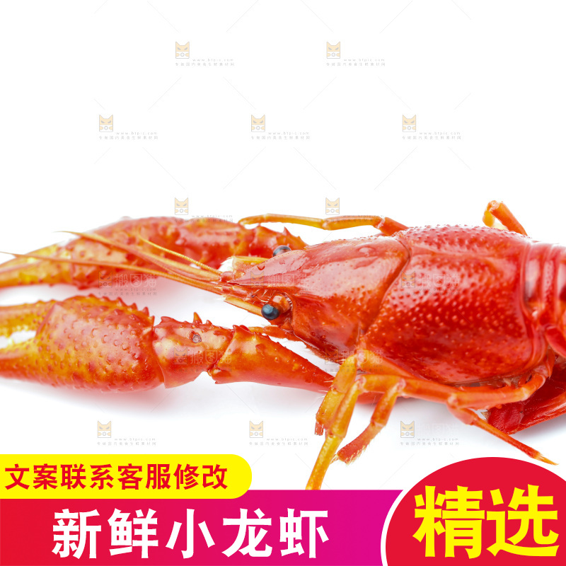白底上放着秘制小龙虾