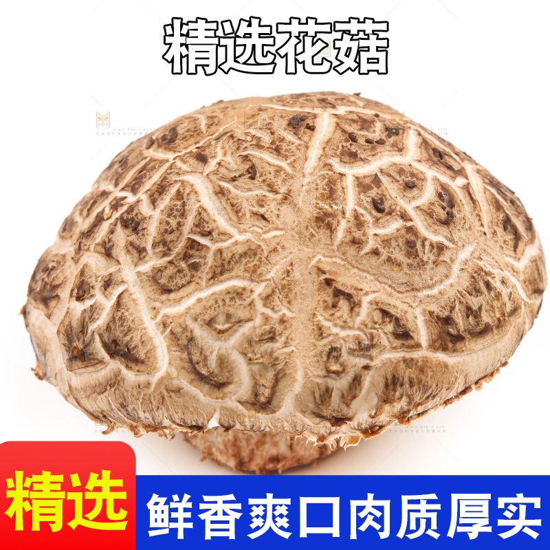 白底上放着花菇