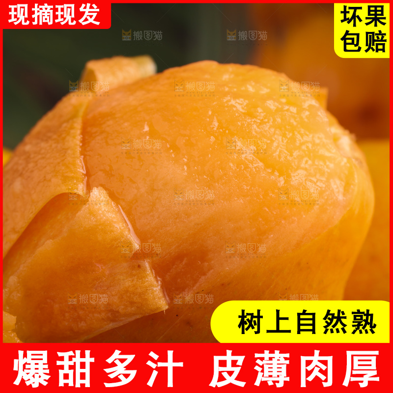 深底上的攀枝花枇杷