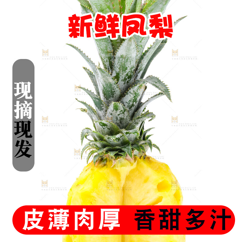 白底上的金钻凤梨