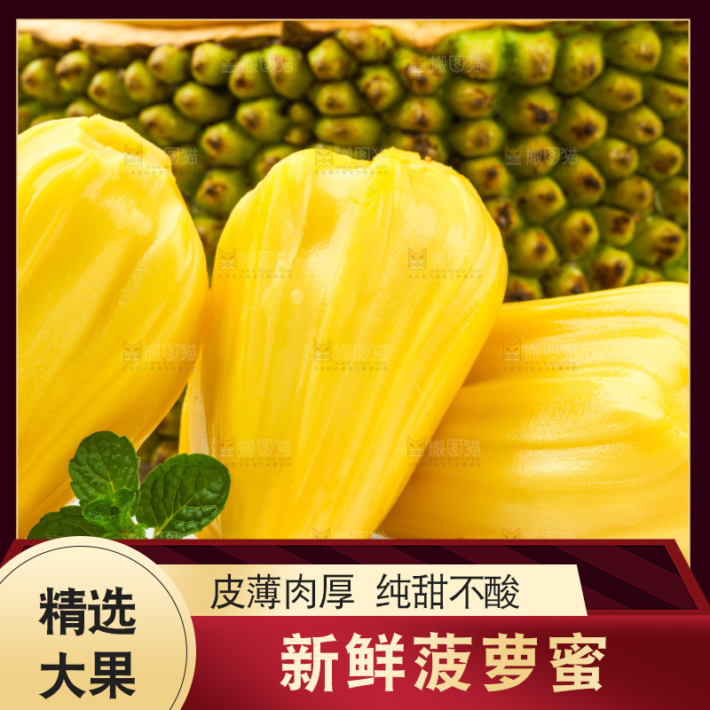 浅底上的黄肉菠萝蜜