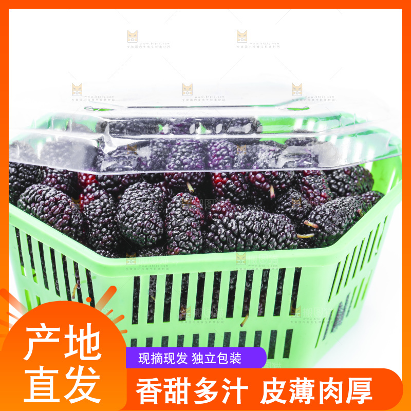 框子里装着新鲜桑葚