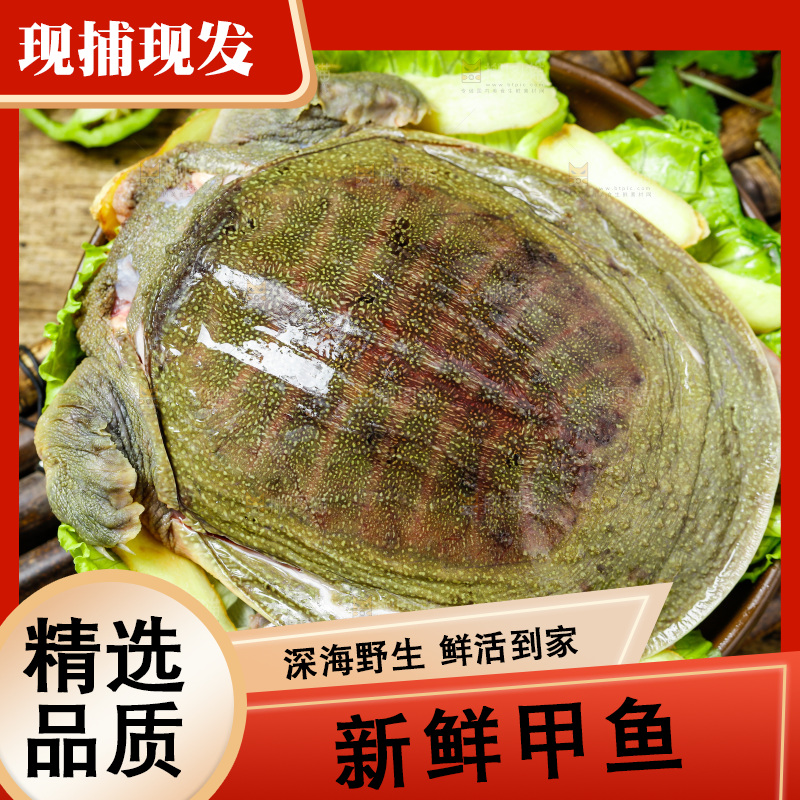 盘子里装着甲鱼