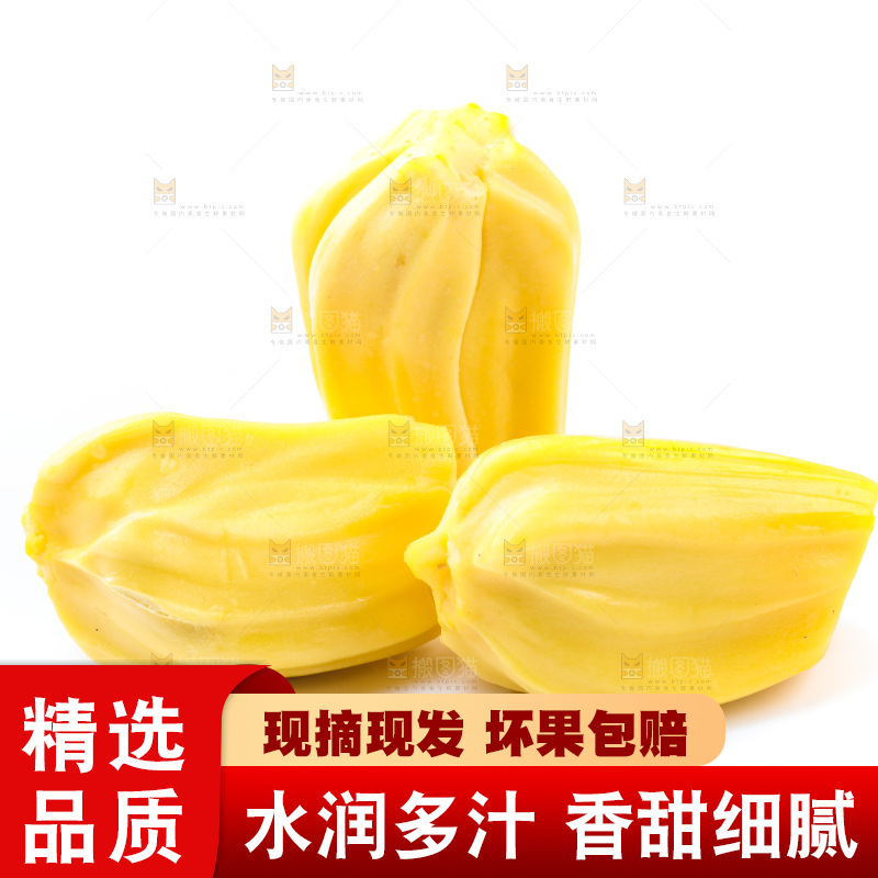 白底上的黄肉菠萝蜜