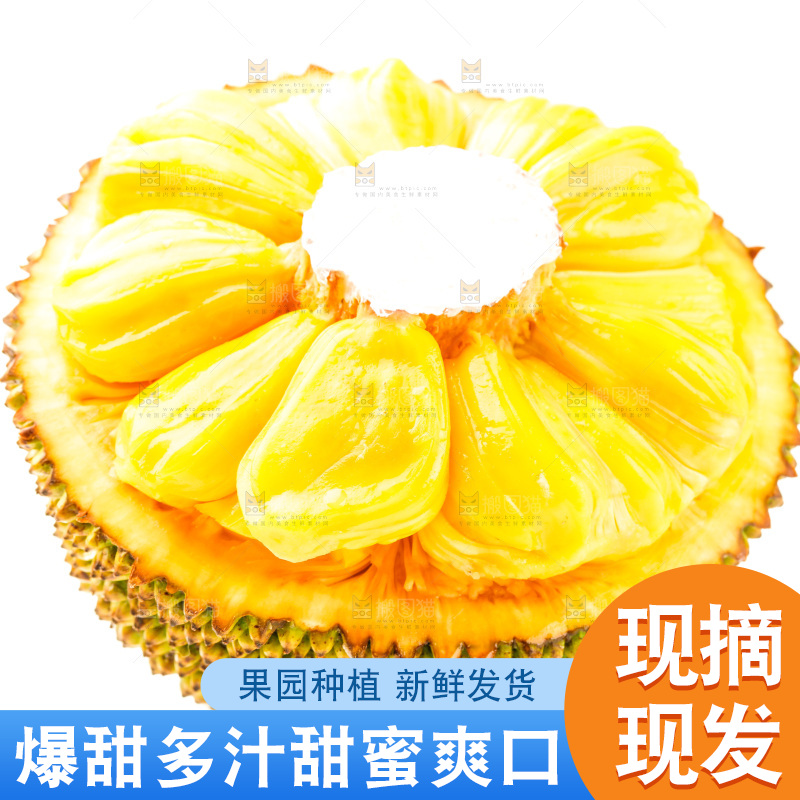 白底上放着海南菠萝蜜