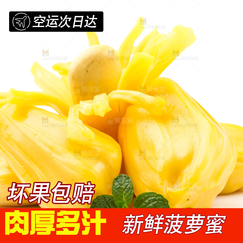 浅底上的海南菠萝蜜
