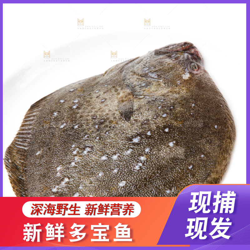 盘子里装着多宝鱼